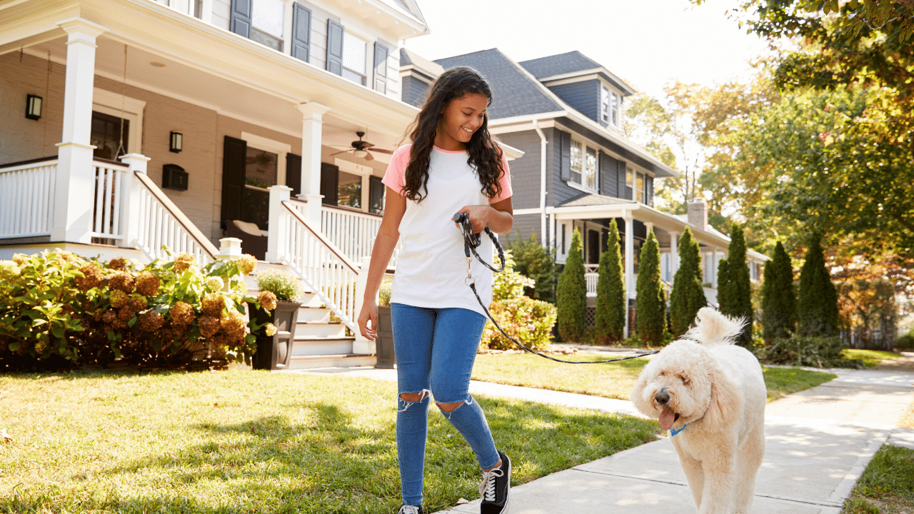 Featured image for “6 Smart Ways to Keep Your Neighborhood Safer”