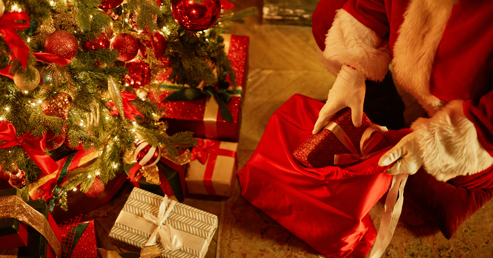 Featured image for “How To Catch Santa On Camera”